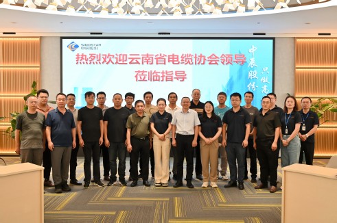 线聚你我 与企同业——云南省电线电缆行业协会莅临兴发游戏xf电缆调查互换