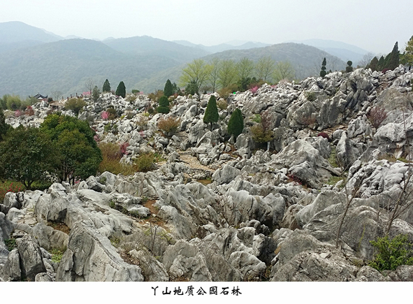 兴发xf(中国区)游戏有限公司