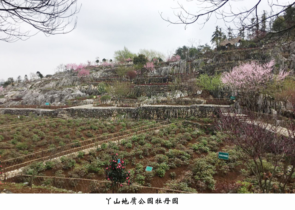 兴发xf(中国区)游戏有限公司