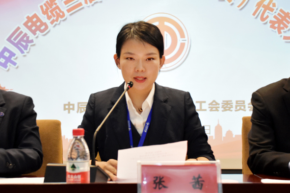 兴发xf(中国区)游戏有限公司