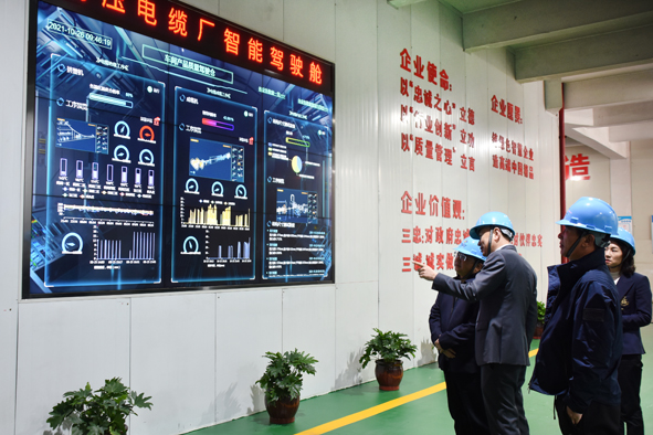 兴发xf(中国区)游戏有限公司